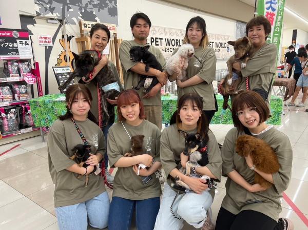 譲渡会ボランティア