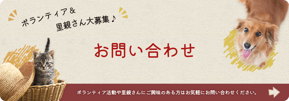 お問い合わせはこちら